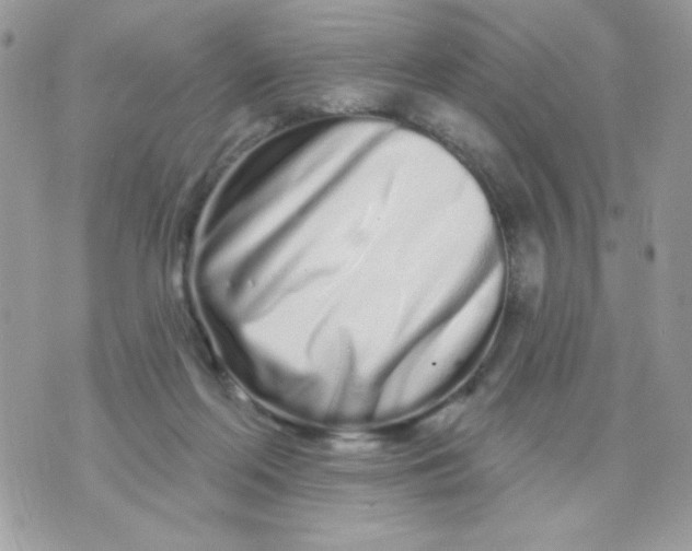 X0000070880214200607071956