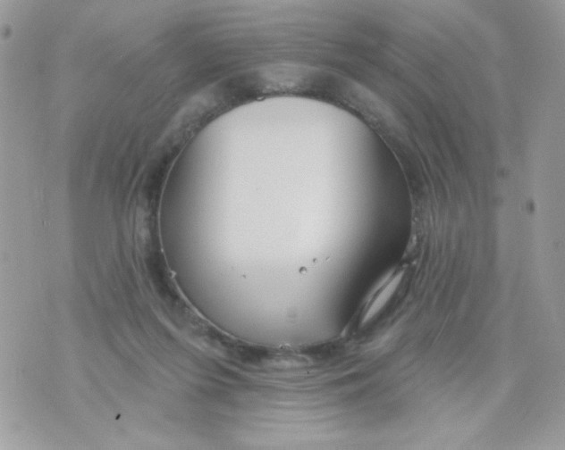 X0000070880215200607071956