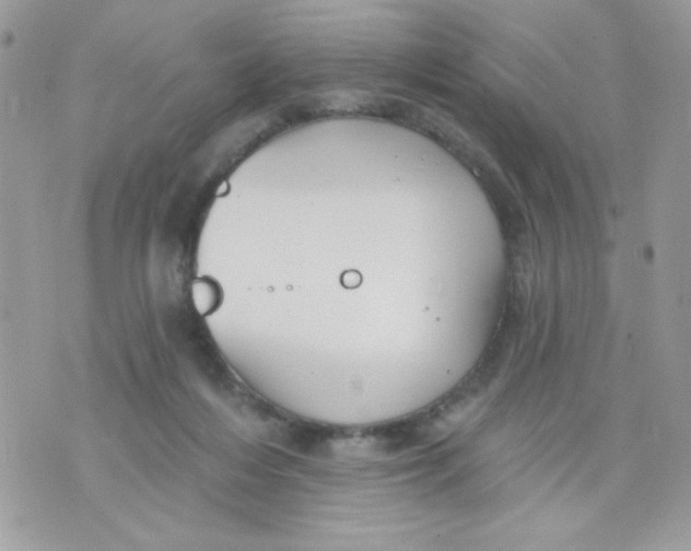 X0000070880216200607071956