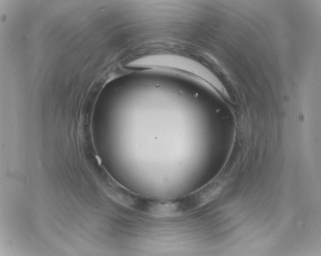 X0000070880217200607071956