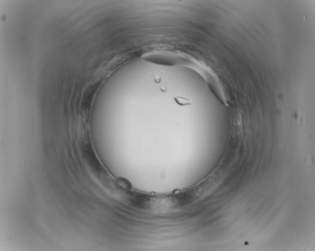 X0000070880218200607071956