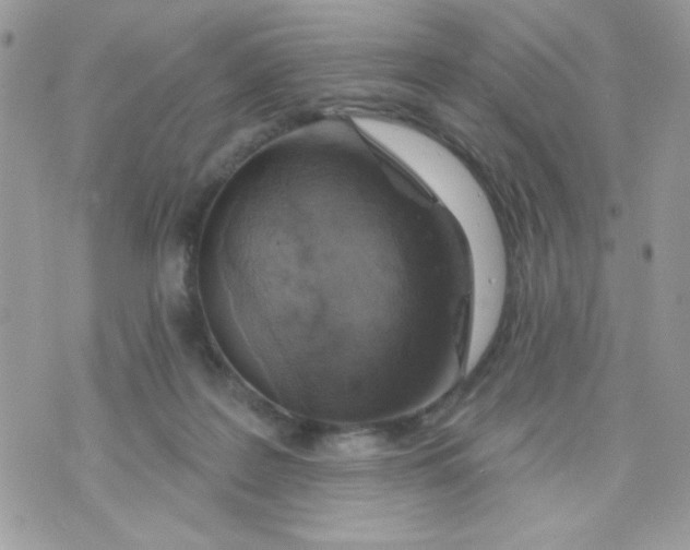 X0000070880219200607071956