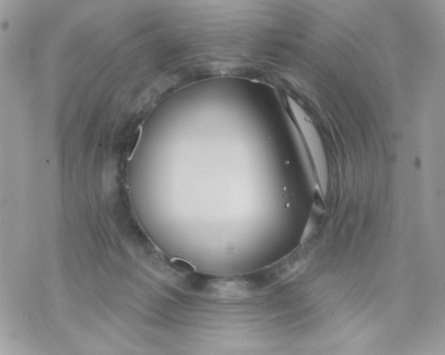 X0000070880221200607071956