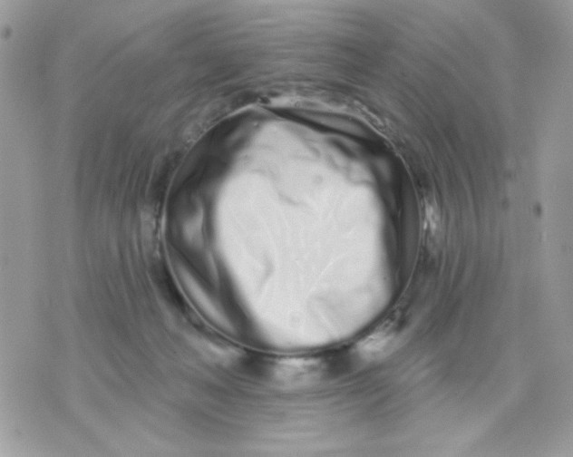 X0000070880222200607071956