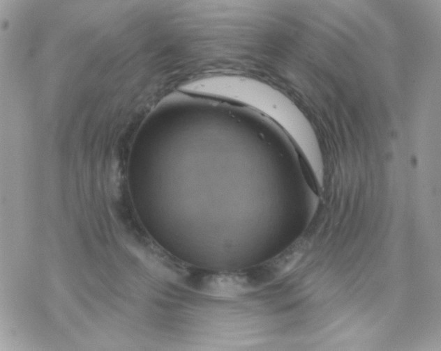 X0000070880223200607071956