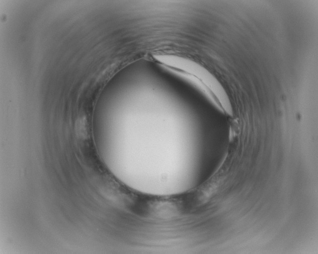 X0000070880224200607071956