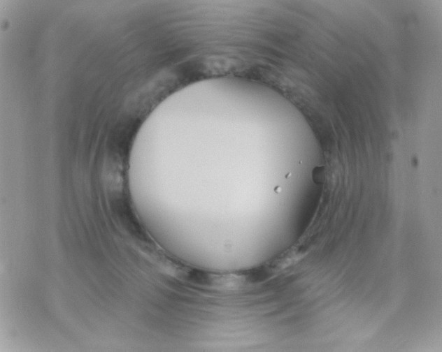 X0000070880226200607071956