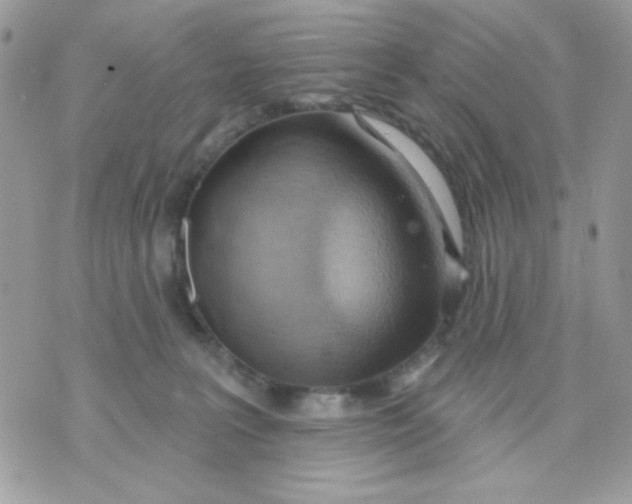 X0000070880227200607071956