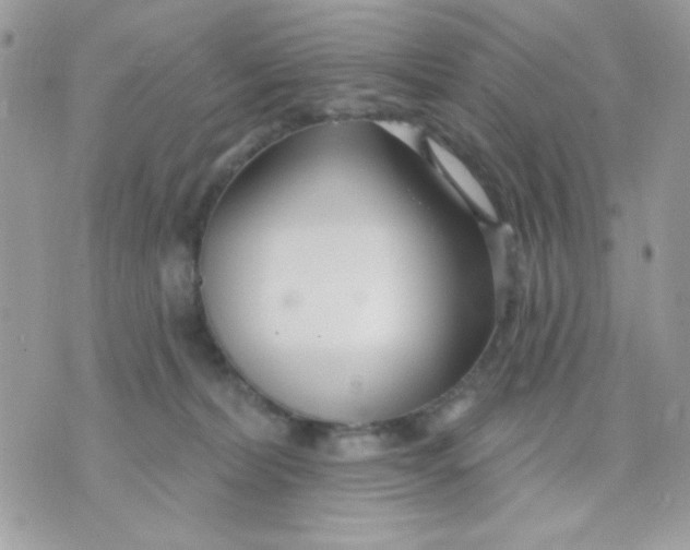 X0000070880228200607071956