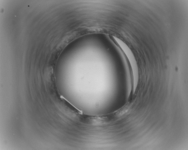 X0000070880229200607071956