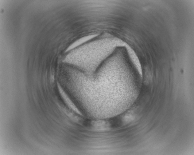 X0000070880230200607071956