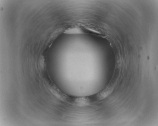 X0000070880231200607071956