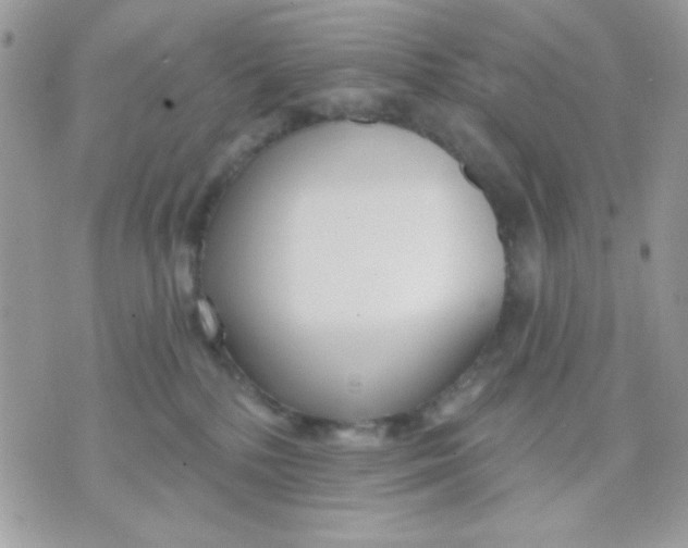 X0000070880232200607071956