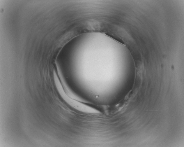 X0000070880233200607071956