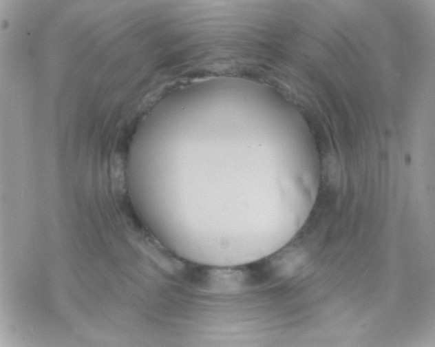 X0000070880234200607071955