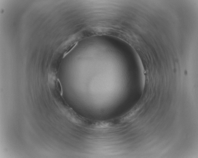 X0000070880235200607071955