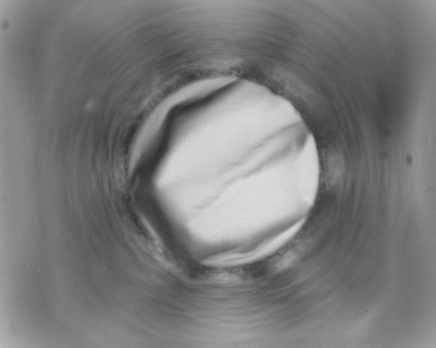 X0000070880236200607071955