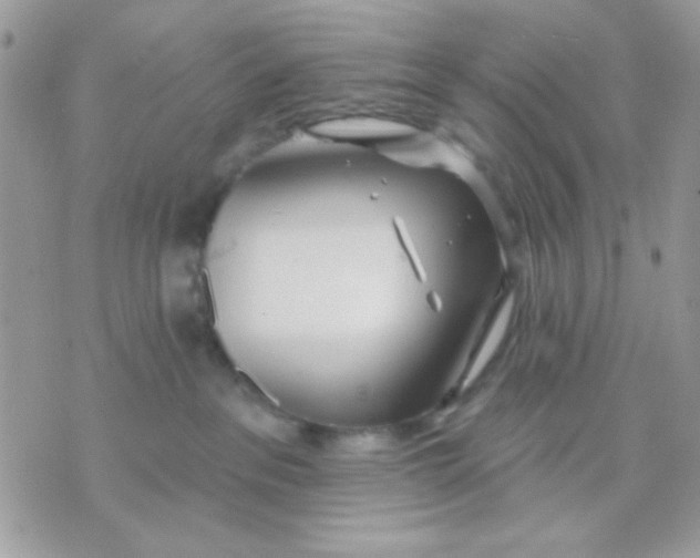 X0000070880237200607071955