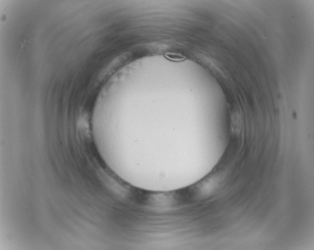 X0000070880238200607071955