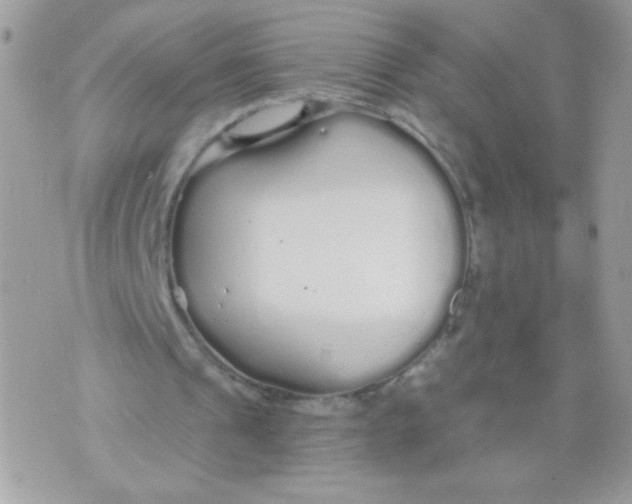 X0000070880241200607071955