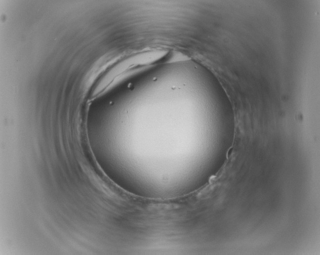 X0000070880242200607071955