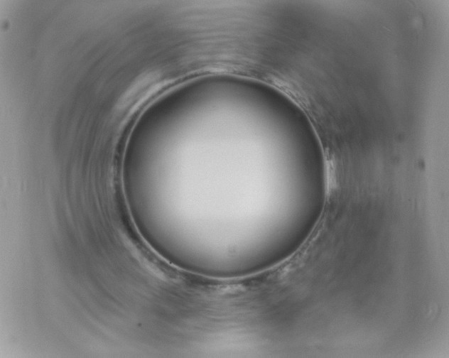 X0000070880243200607071955