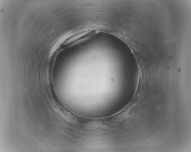 X0000070880244200607071955