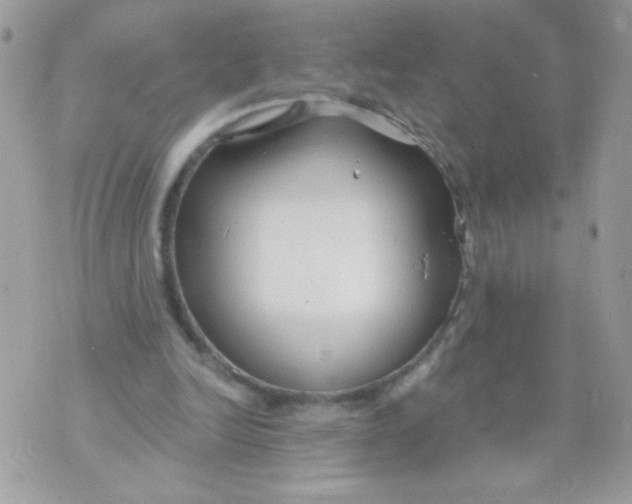 X0000070880246200607071955