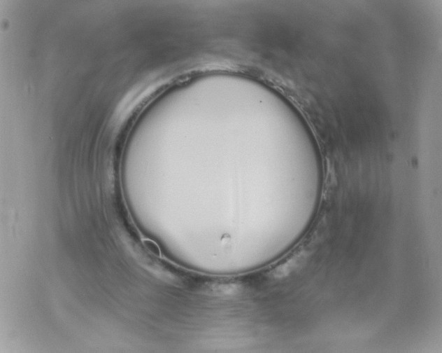 X0000070880247200607071955