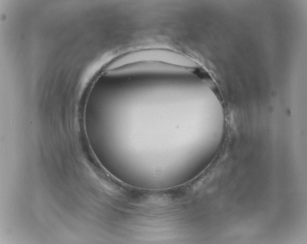 X0000070880248200607071955