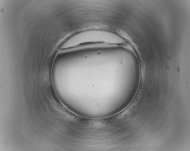 X0000070880249200607071955