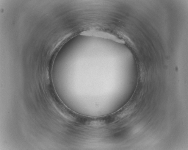 X0000070880251200607071955