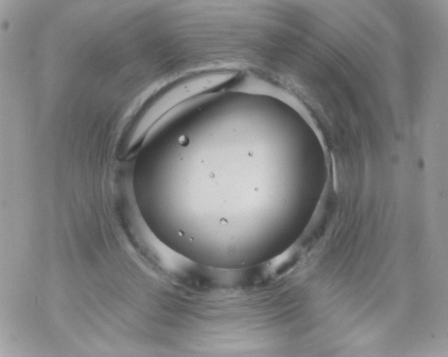 X0000070880252200607071955