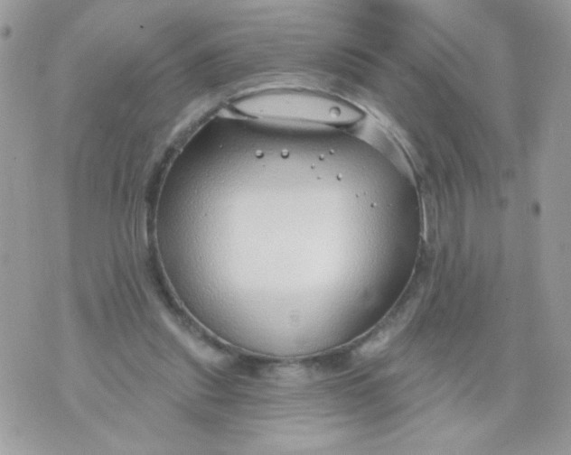 X0000070880253200607071955