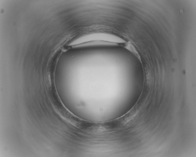 X0000070880254200607071955