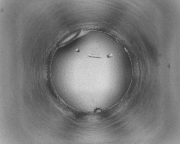 X0000070880255200607071955