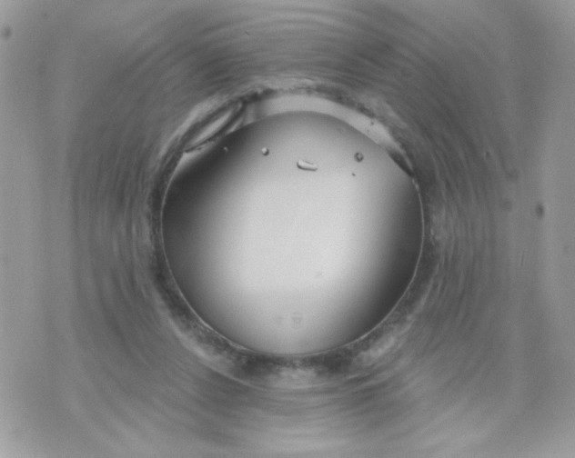 X0000070880256200607071955