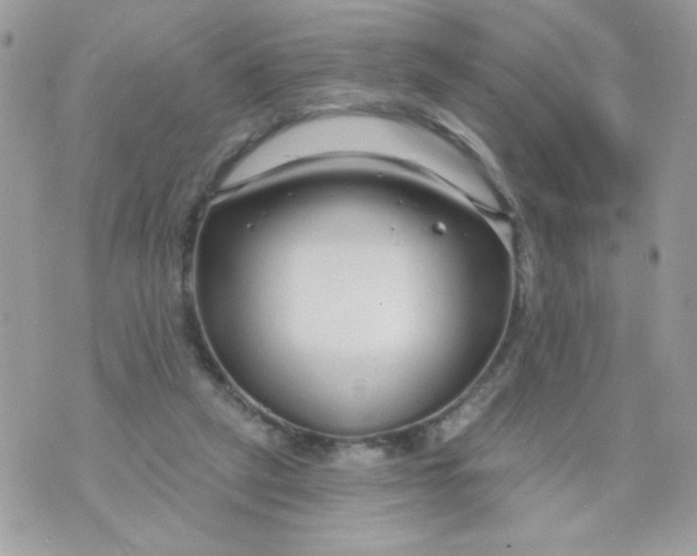 X0000070880257200607071955