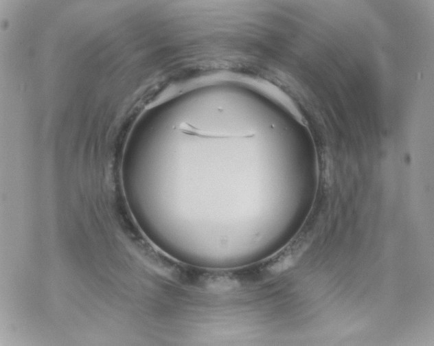 X0000070880258200607071955