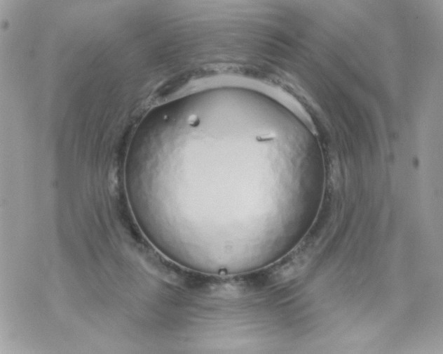 X0000070880259200607071955