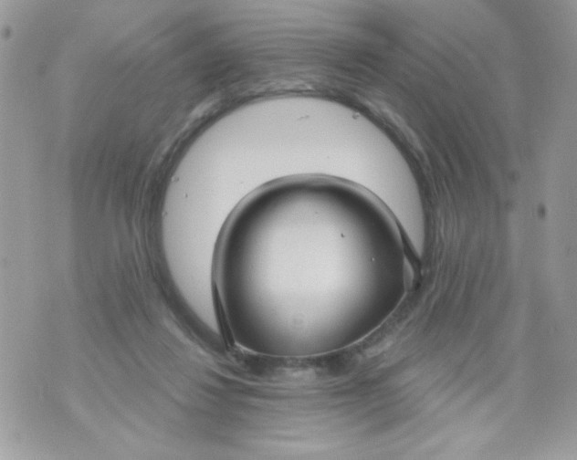 X0000070880260200607071955