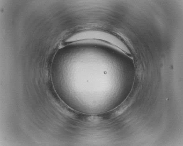 X0000070880261200607071955