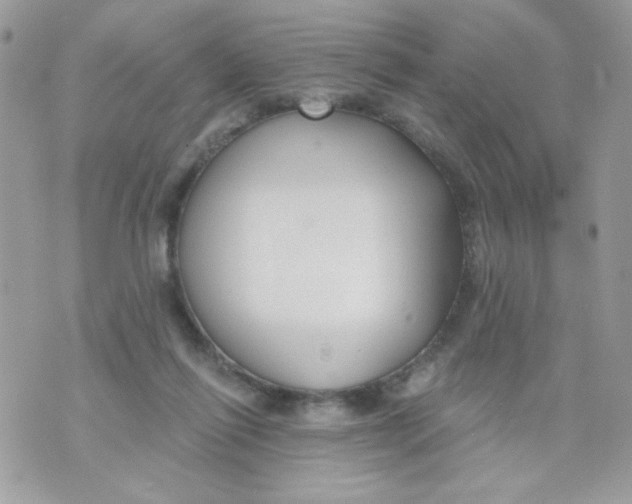 X0000070880262200607071955