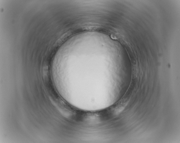 X0000070880263200607071955