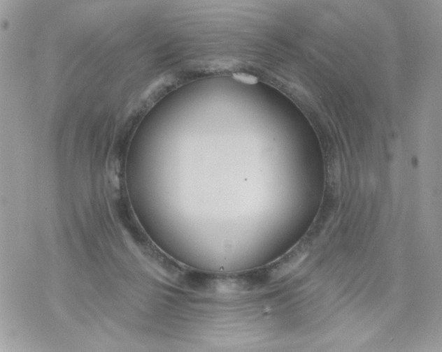 X0000070880264200607071955