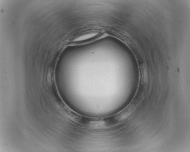 X0000070880266200607071955