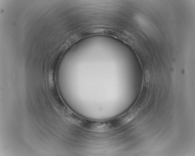 X0000070880267200607071955