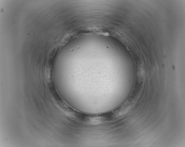 X0000070880268200607071955