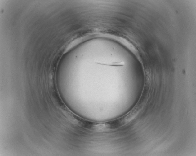 X0000070880269200607071955