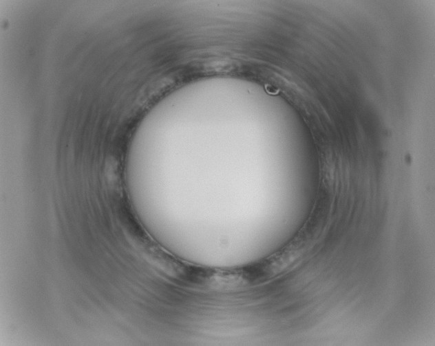 X0000070880270200607071955